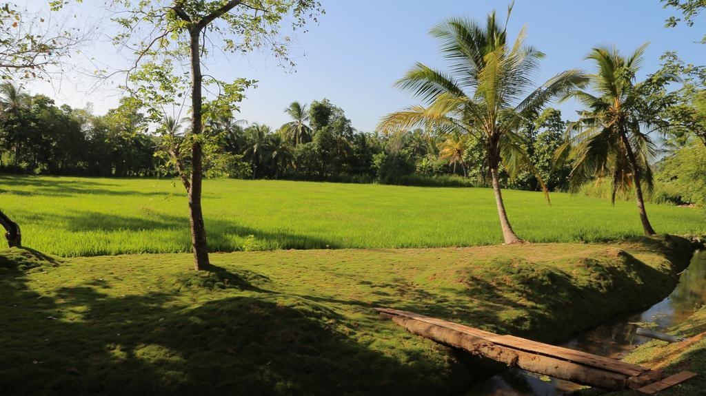 Miracle Resorts & Villas Polonnaruwa Eksteriør bilde