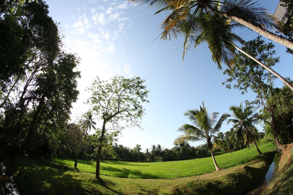 Miracle Resorts & Villas Polonnaruwa Eksteriør bilde