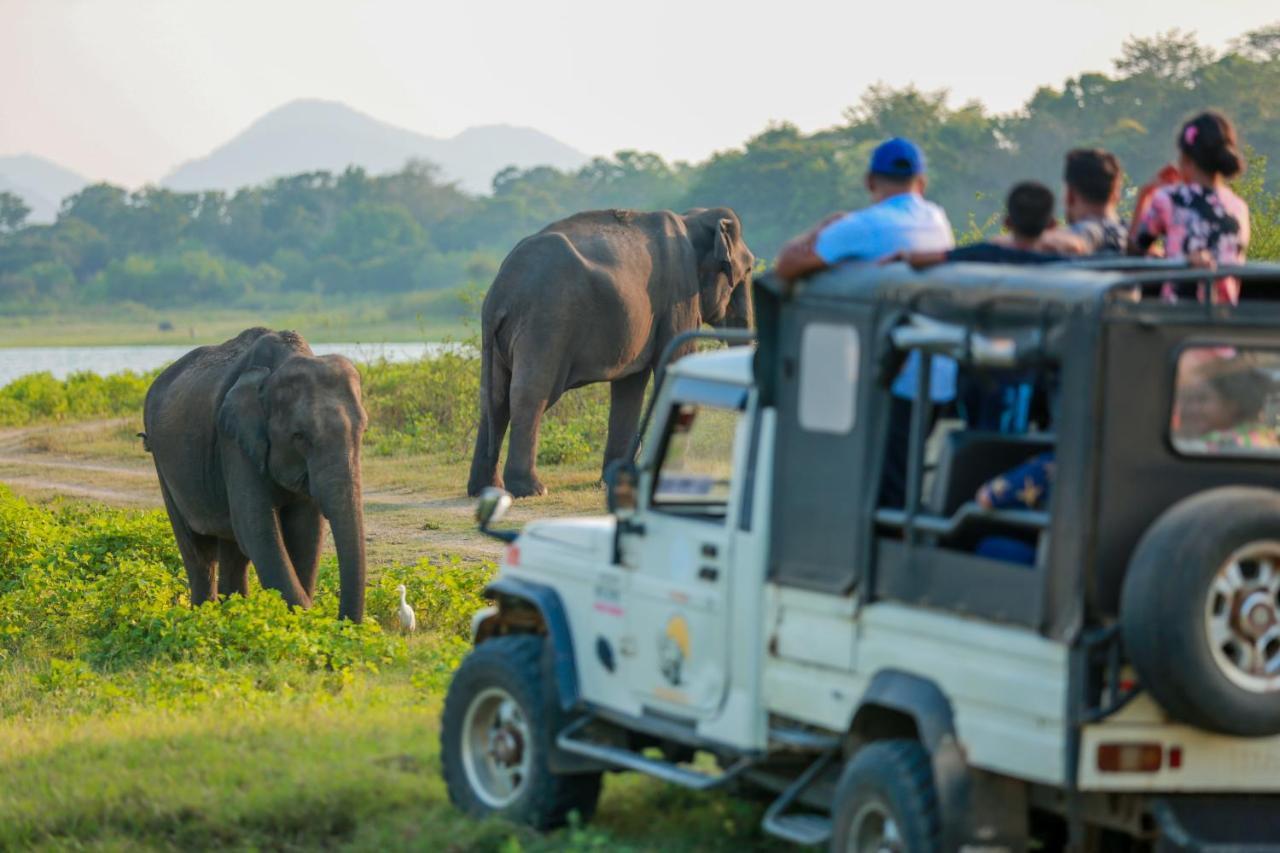 Miracle Resorts & Villas Polonnaruwa Eksteriør bilde